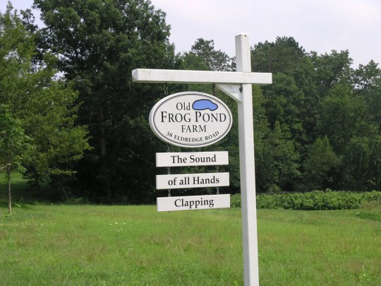 Image result for old frog pond farm